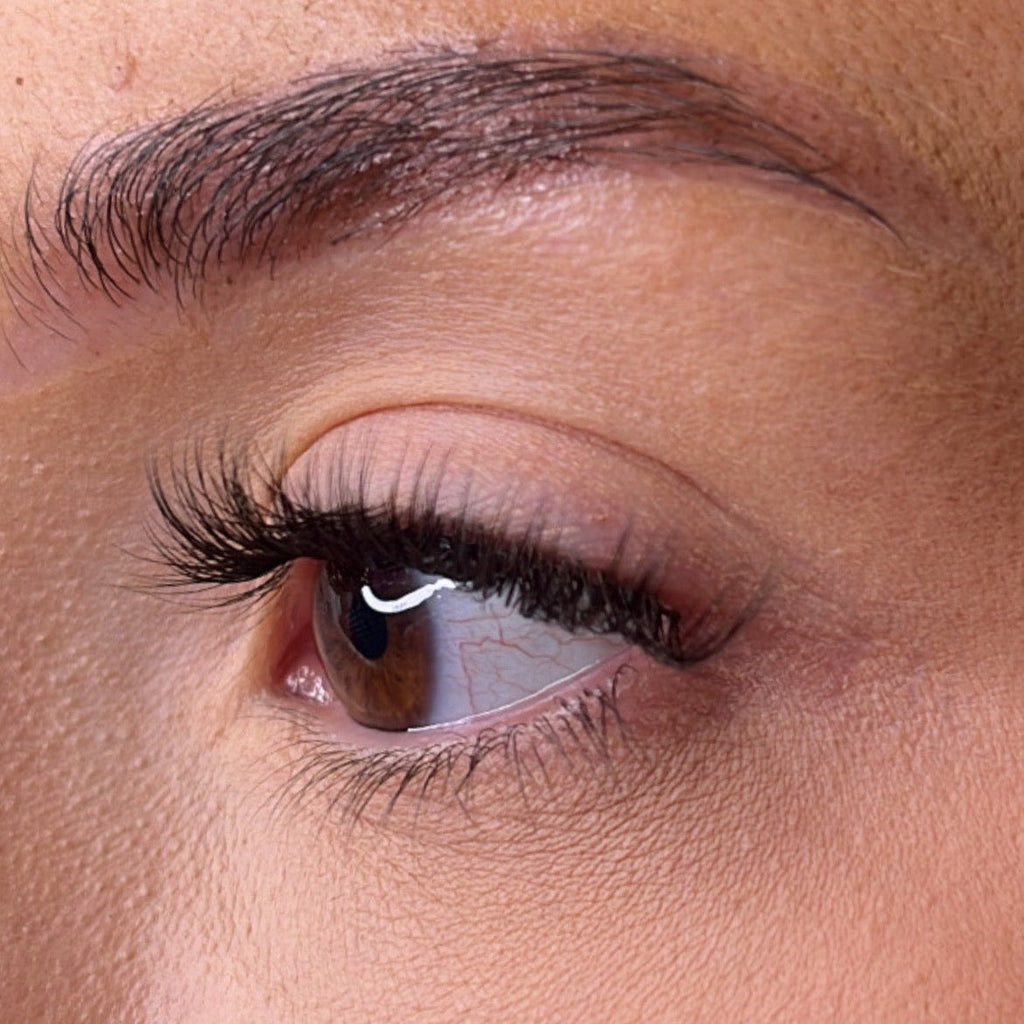 Pre-Glued Lashes - K Glue No Faff Lash - Dee