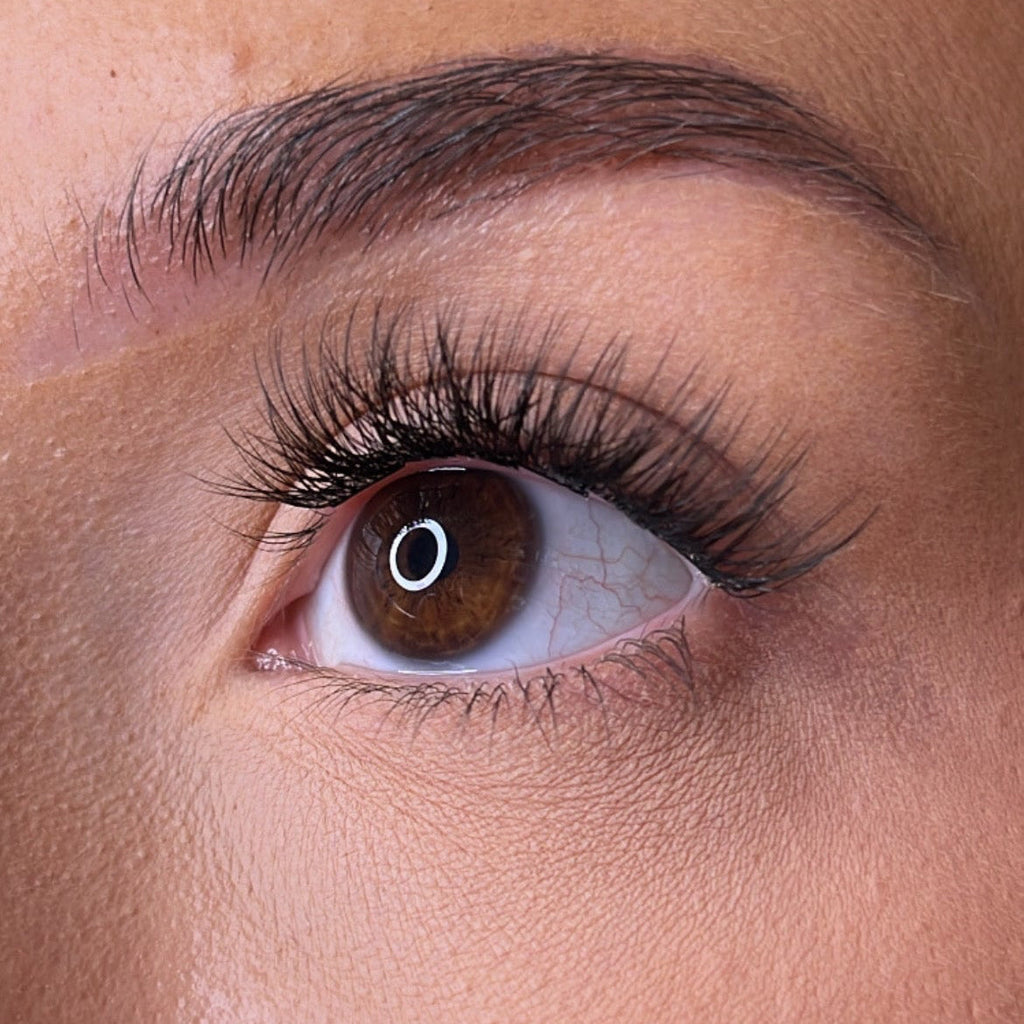 Pre-Glued Lashes - K Glue No Faff Lash - Dee