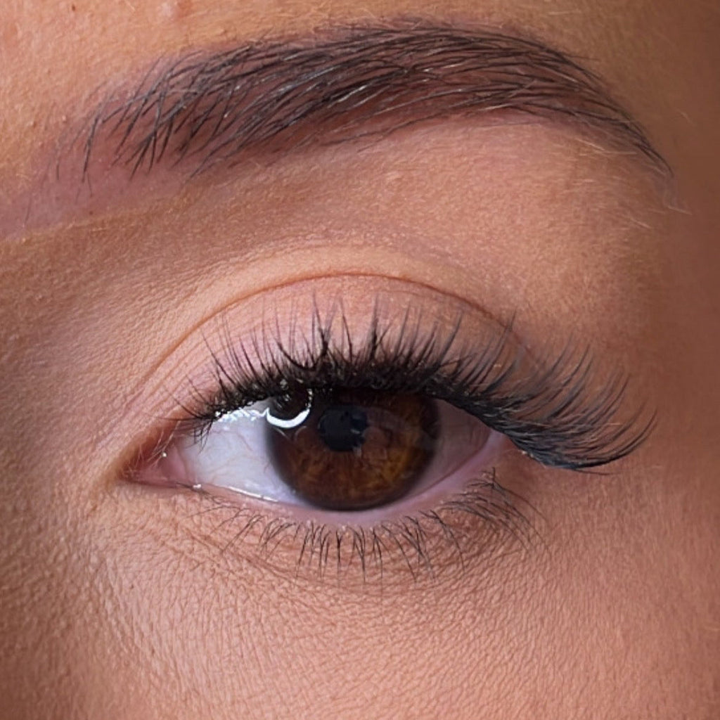 Pre-Glued Lashes - K Glue No Faff Lash - Dee